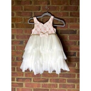 Princess Couture Pink Gold Tiered Tulle Dress